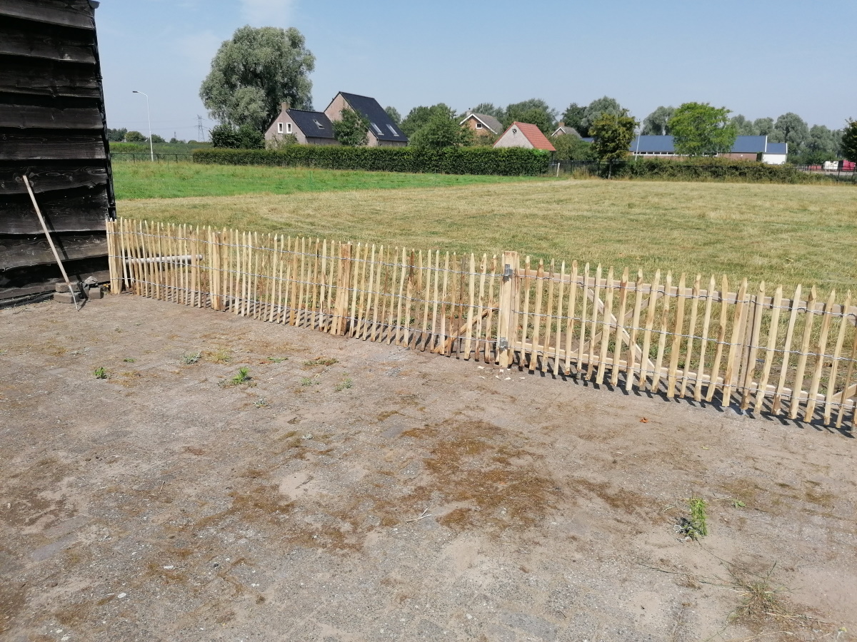 Schapenhek Oud Gastel Noord Brabant Van Dijk Wilgen Schuttingen